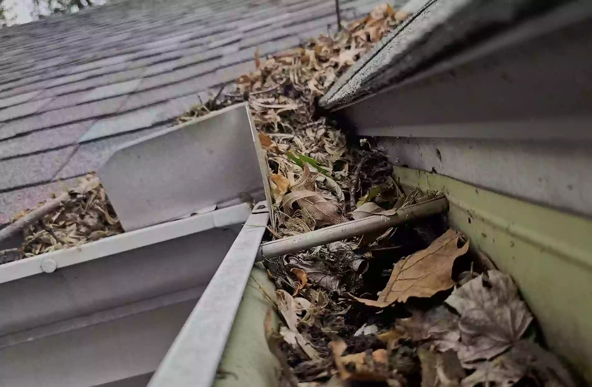 Gutter Cleaning