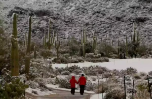 Winter in Arizona