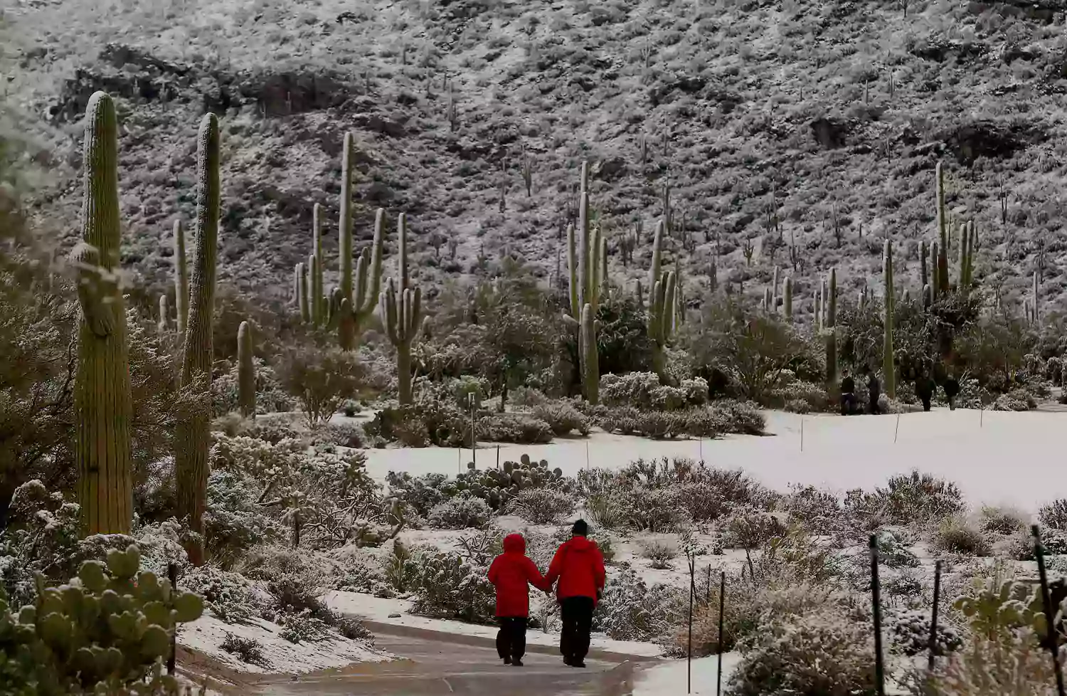 Winter Is Upon Us