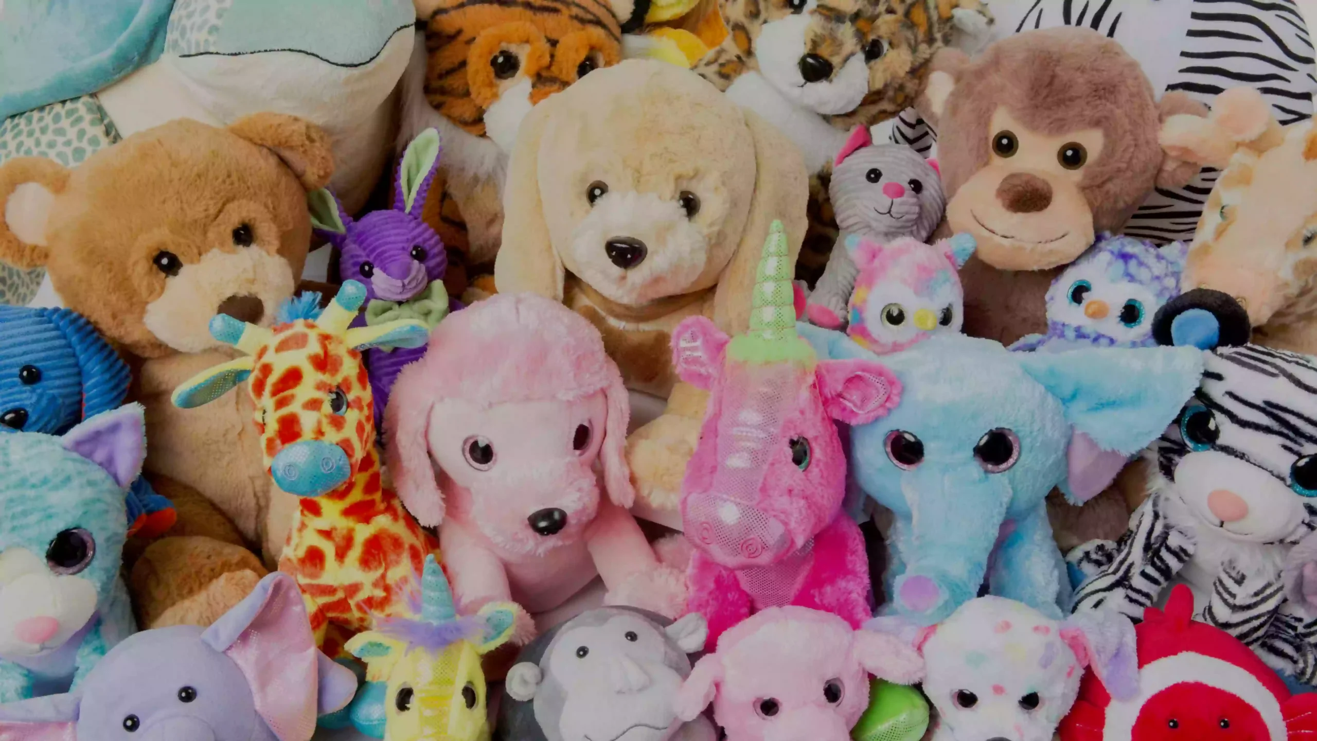 Stuffed Animal