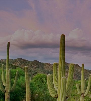 Tucson