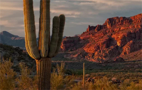 Chandler, AZ