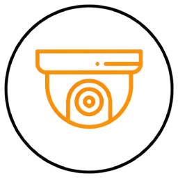 Video Surveillance Icon