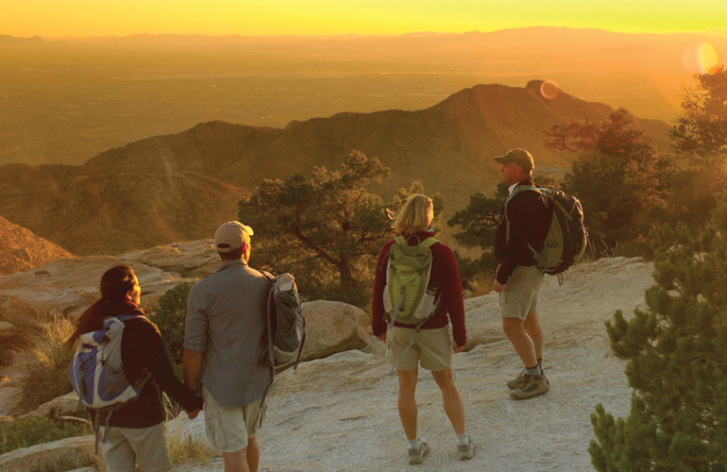Hiking Tucson