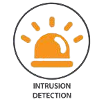 Intrusion detection Icon